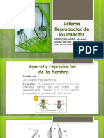 Sistema Reproductor de Los Insectos
