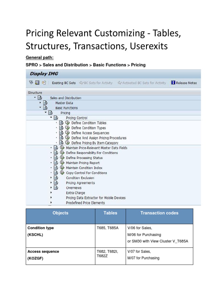 SAP Pricing Customization Overview | PDF | Pricing | Data Management