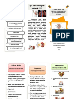 Leaflet Nefropati DM Fix