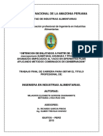 UNIVERSIDAD NACIONAL DE LA AMAZONIA PERUANA.docx
