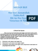 BUAH DAN BIJI SEBAGAI OBAT ALAMI