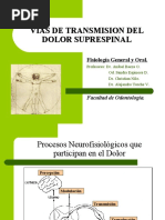 Vias Del Dolor 7126 PPT Share)