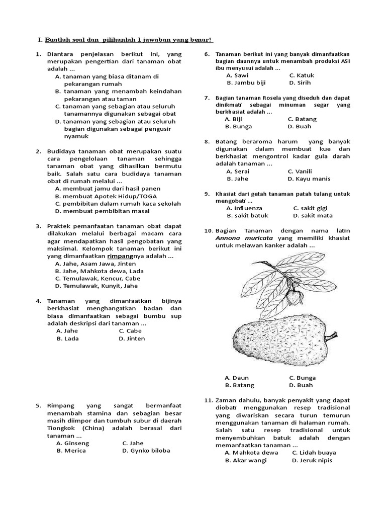 Soal Prakarya Budidaya K13