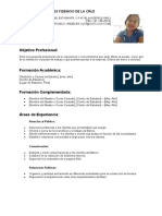 Curriculum Vitae Funcional