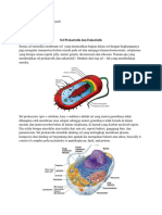 Prokaryotes and Eukaryotes