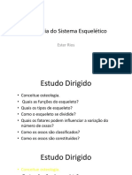 Anatomia Do Esqueleto e Articulações PDF