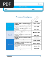 processos fonologicos 