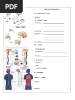 Nclex Neuro