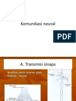 KOMUNIKASI NEURAL