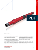 08-HLB Packers.pdf