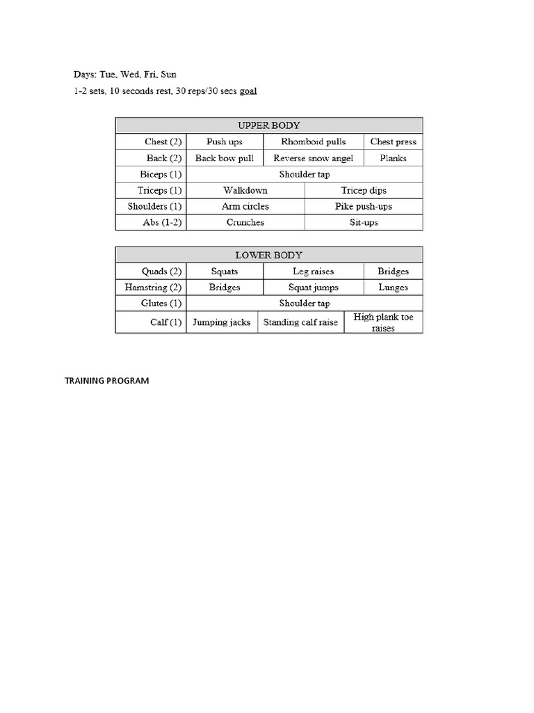 Comprehensive Training Program Guide | PDF