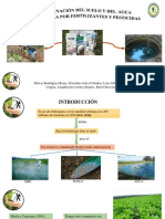 Proyecto de Inversion Publica Fase Formulacion