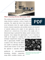 What Is Scanning Electron Micros