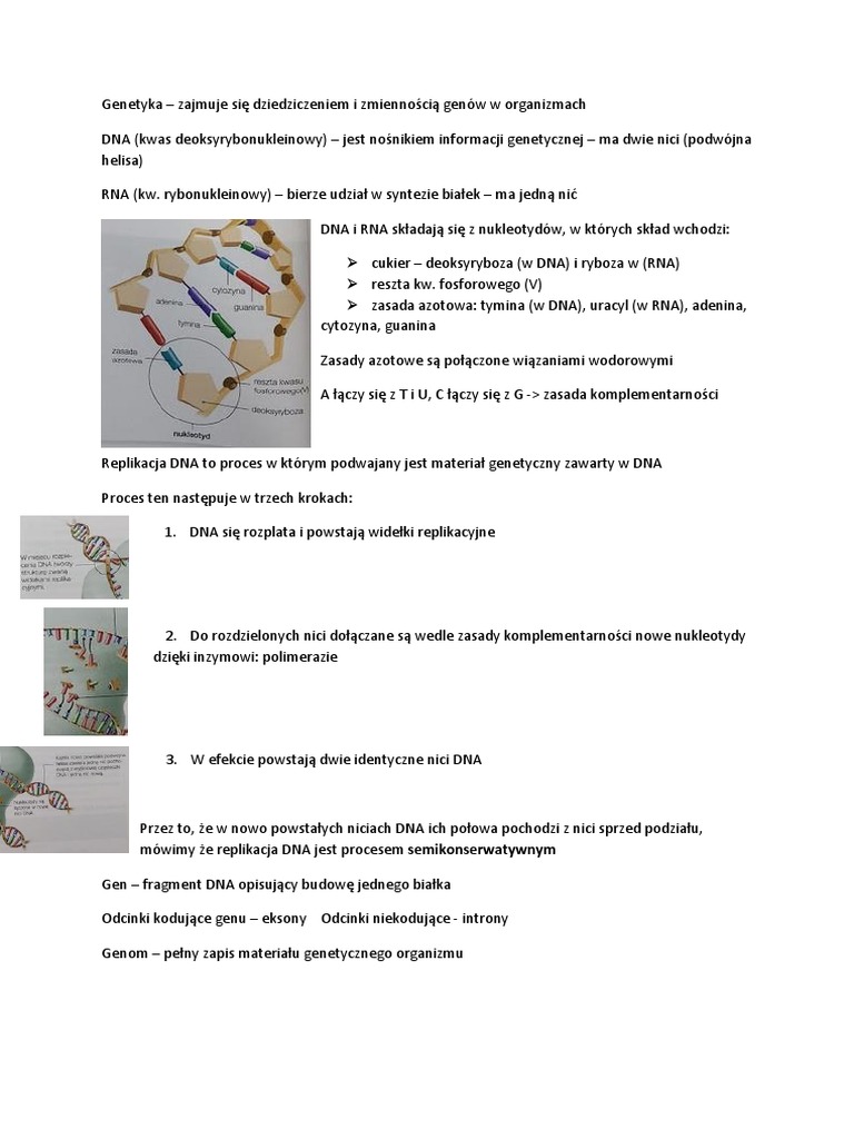 Nośnik Informacji Genetycznej Dna Kartkówka