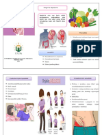 LEAFLET Apendisitis