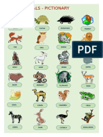 wild-animals-pictionary_72106.doc