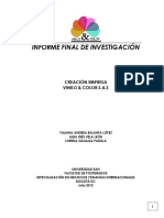 INFORME FINAL - VINILO Y COLOR.pdf