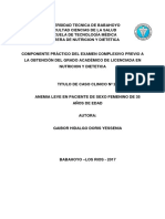 Dieta y Composicion Pcte Anemicodm PDF