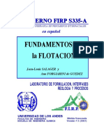 aaa FUNDAMENTOS de la Flotacion.pdf