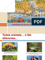 formas dos animais.pdf
