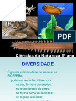 Revestimentos Dos Animais