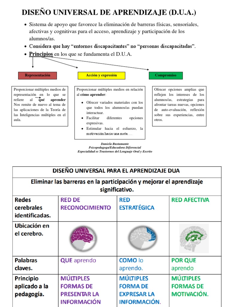 Principios del Diseño Universal de Aprendizaje | PDF