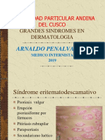 10.1. Grandes Sindromes en Dermatologia Ok