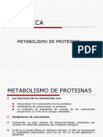 13. Metabolismo de Proteinas