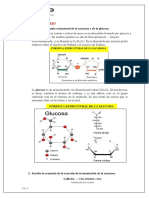 Fórmulas químicas de la sacarosa y glucosa, reacciones de fermentación y producción de alcohol