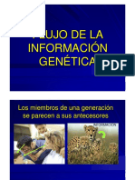 Presentacion_2_-_Flujo_info_genetica