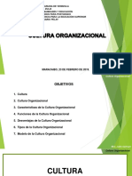 Cultura Organizacional Julio Carruyo