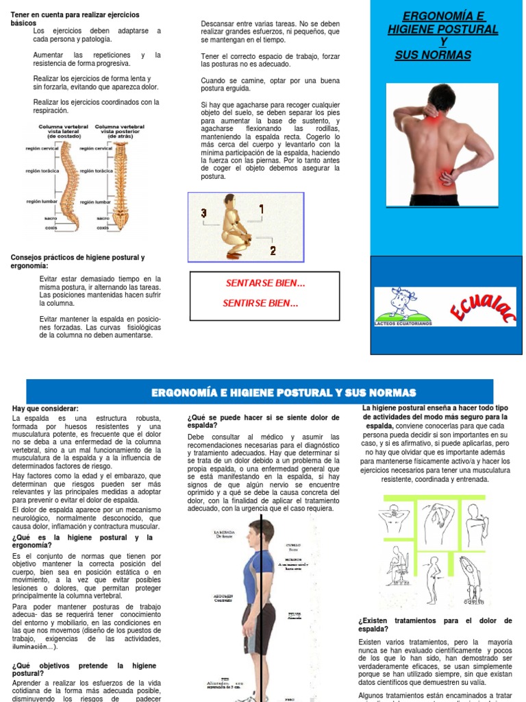 Ejercicios y Normas de Higiene Postural | PDF | Dolor lumbar | Factores ...