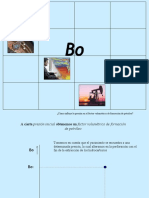 Bo.pdf