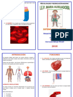 Diptico Del Sistema Circulatorio