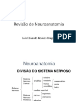 Neuroanatomia Revisao PDF