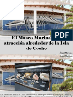 Ángel Marcano - El Museo Marino, Una Atracción Alrededor de La Isla de Coche