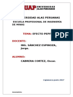 352325417-Efecto-Pepita.pdf