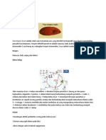 Trematoda Usus Baru