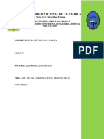 Rool Del Ingeniero Ambiental en La Industria de Procesos