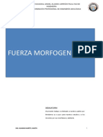 Fuerzas Morfogeneticas