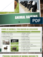 Animal Raising
