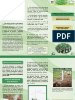 Acido Piroleñoso Usos PDF