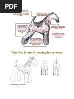 Notes From The Grooming Table Completo | PDF