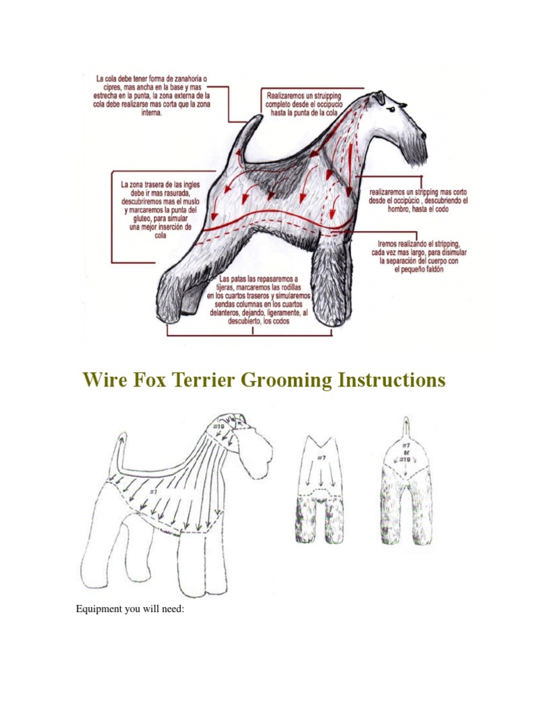wire fox terrier grooming guide