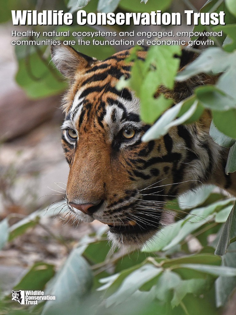 Wildlife Conservation Strategies in India | PDF | Conservation Biology ...