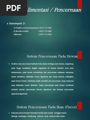 Ppt
