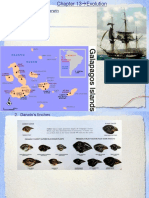 13.1-Voyage of Charles Darwin I. Voyage of The Beagle A. Beliefs Before He Left II. The Voyage A. Galapagos Islands