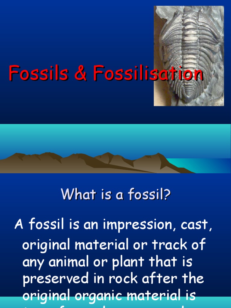 Fossils & Fossilisation | PDF | Fossil | Paleontology