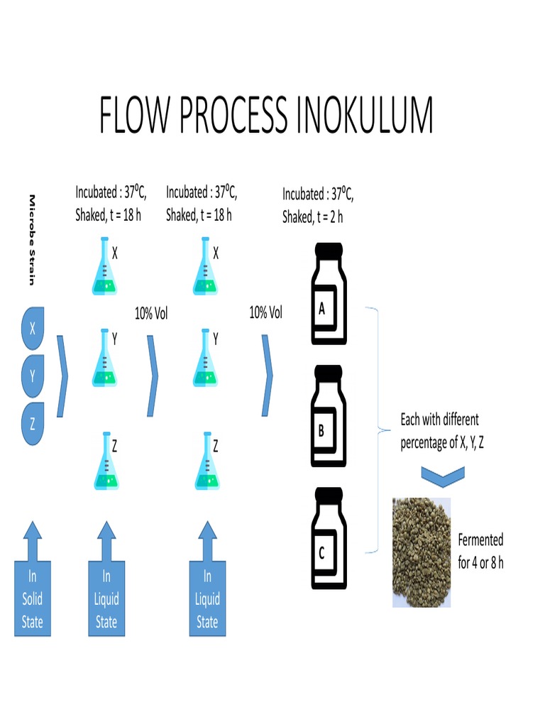 Industrial Inoculum Flow Process Guide | PDF | Chemical Engineering ...