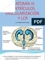 3.- MENINGES # 3.1